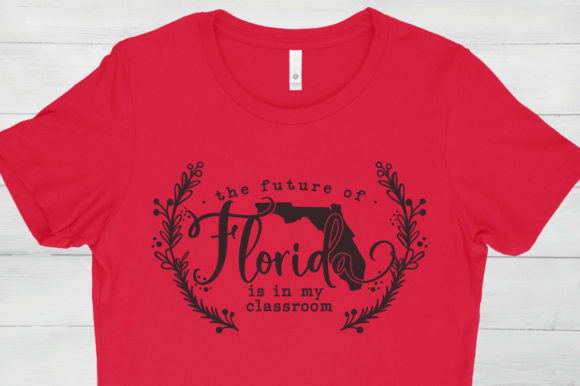 Reviewing The Future of Florida is in My Classroom
